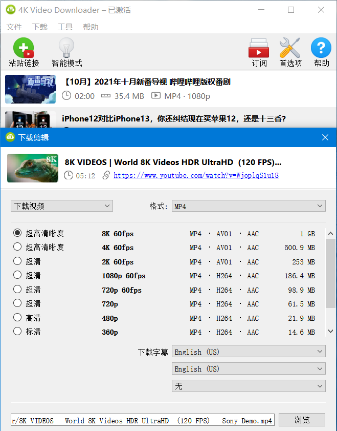 4K Video Downloader破解版 v4.30.0.5655
